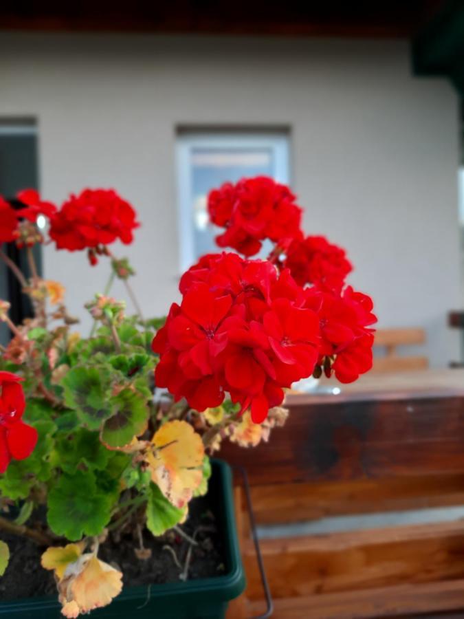 Vacation Home Danilo Žabljak Kültér fotó